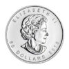 Canadian Platinum Maple Leaf 1 oz